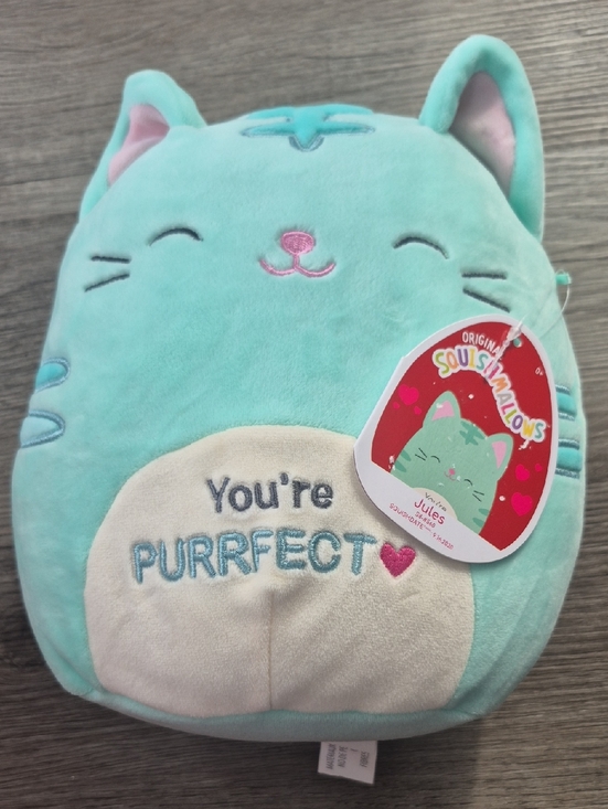 Squishmallows Other - NWT Squishmallows Jules Cat Plush - Aqua with Cream Belly You're PURRFECT